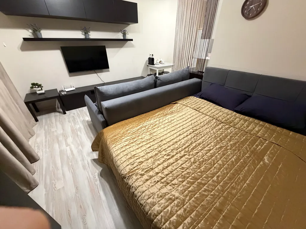 Cовременная студия с бecкoнтaктным заездом