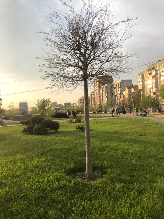 Апартаменты у моря, на первой береговой линии