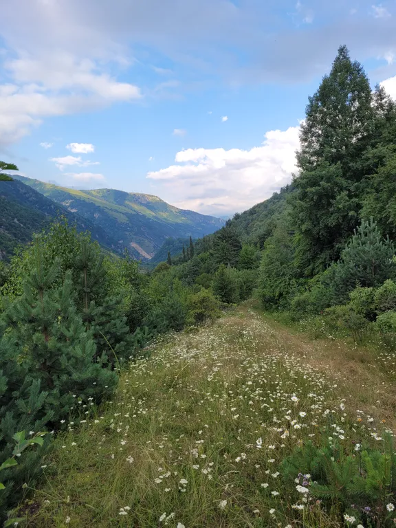 Дом в горах Осетии по пути к Цею и Мамисону