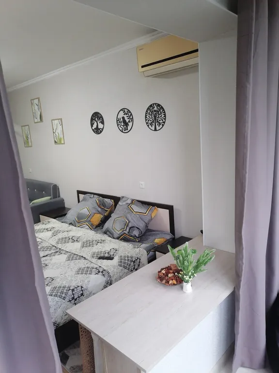 Уютная однокомнатная квартира в центре города