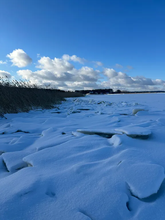 Дом на берегу Псковского озера