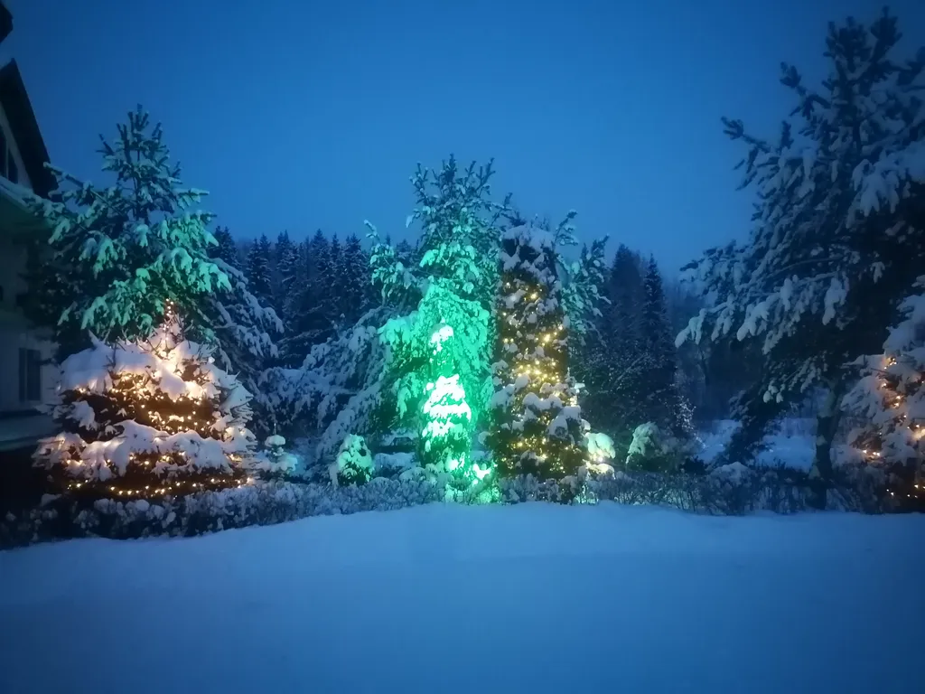 Дом на берегу реки с баней на дровах