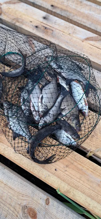 Коттедж Коттедж Селигерское — Березово