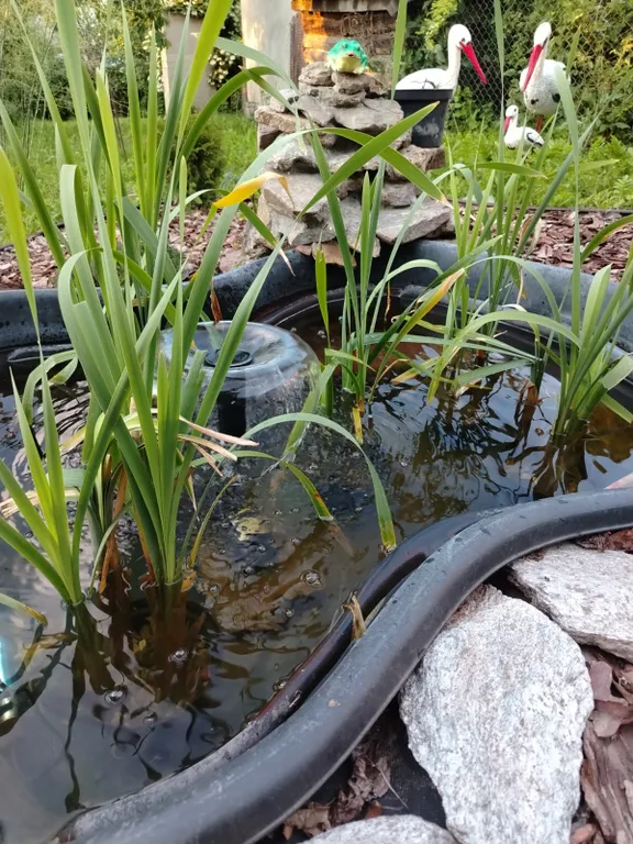 Коттедж Дом в пешей доступности до парка. Дом с банным чаном — Кисловодск