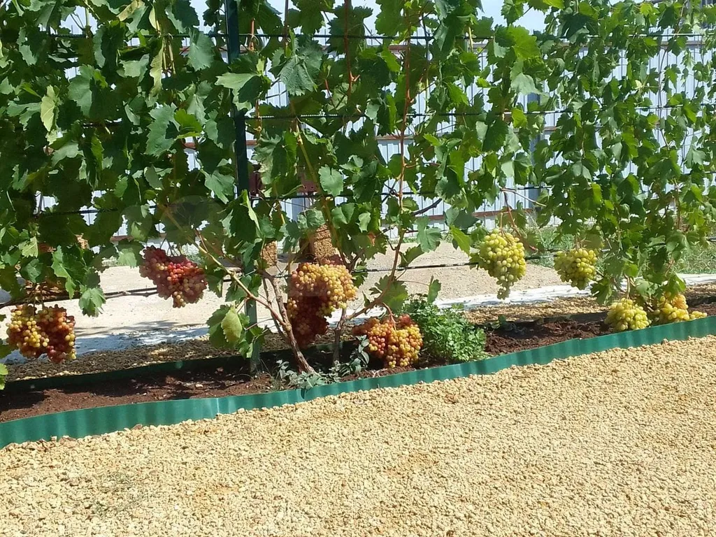 Тишина и уют