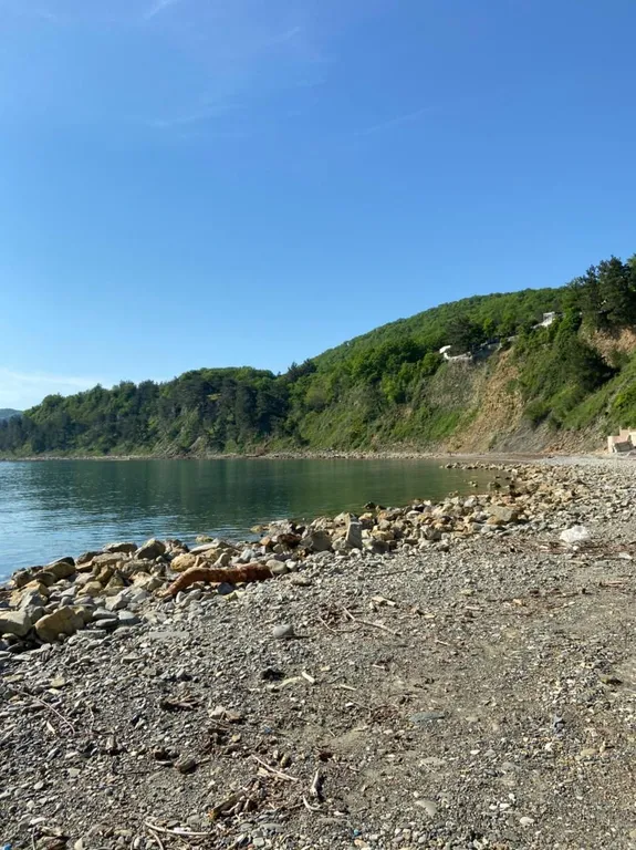 Квартира с видом на море