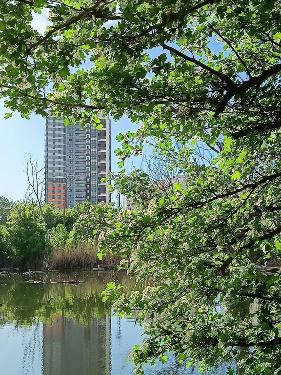 Посуточно в Родниковой