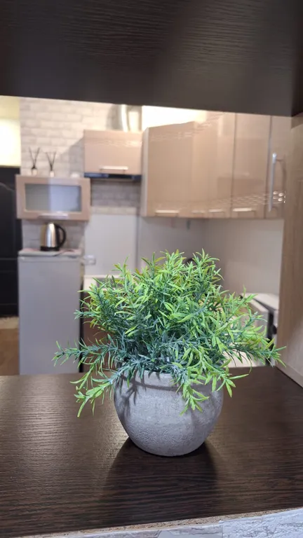 Сочи, солнце, море