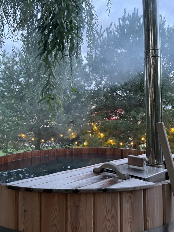 Дом из сруба с баней и бассейном