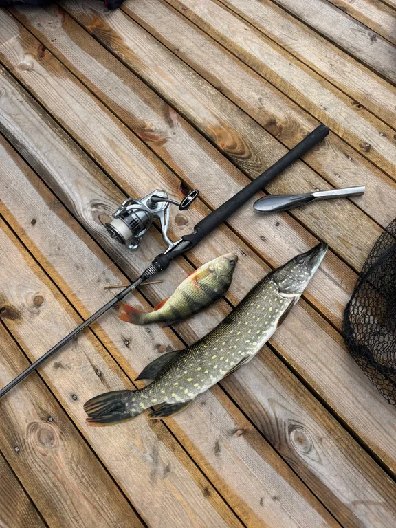 Комфорт дом вблизи моря