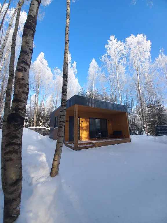 Дом Барин Лес