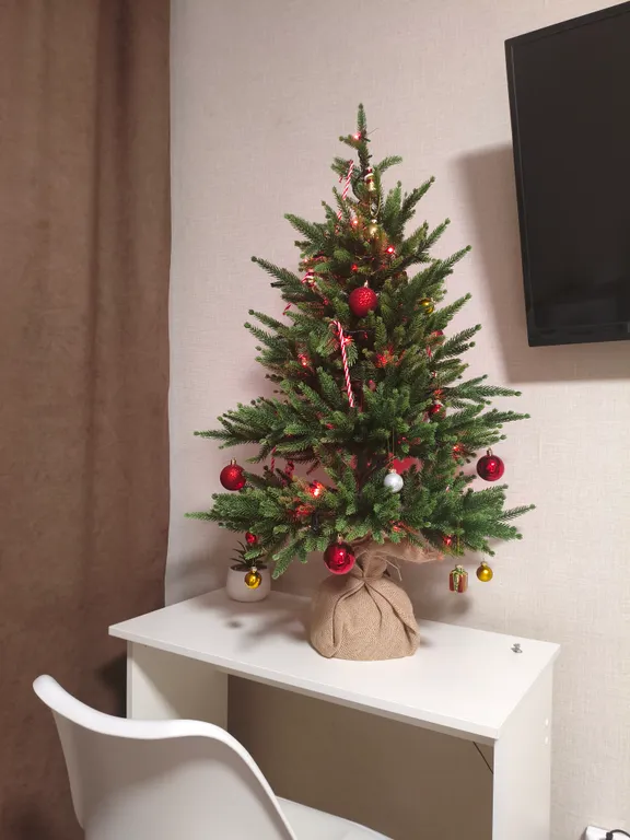 Квартира в Академическом cat home