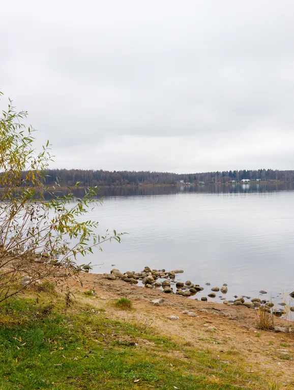Квартира с видом на озеро Сенеж