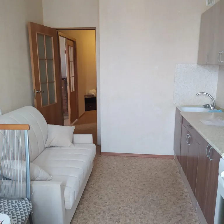 Просторная однокомнатная квартира.