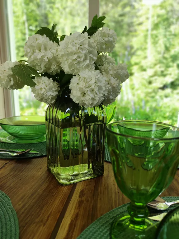 Экодомик из рубленого бревна с дровяной сауной