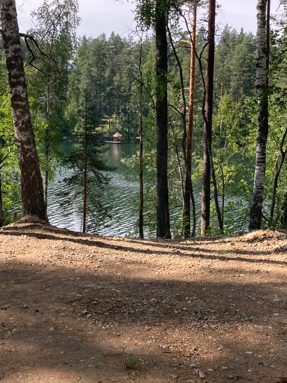 Руна Леса Карелия