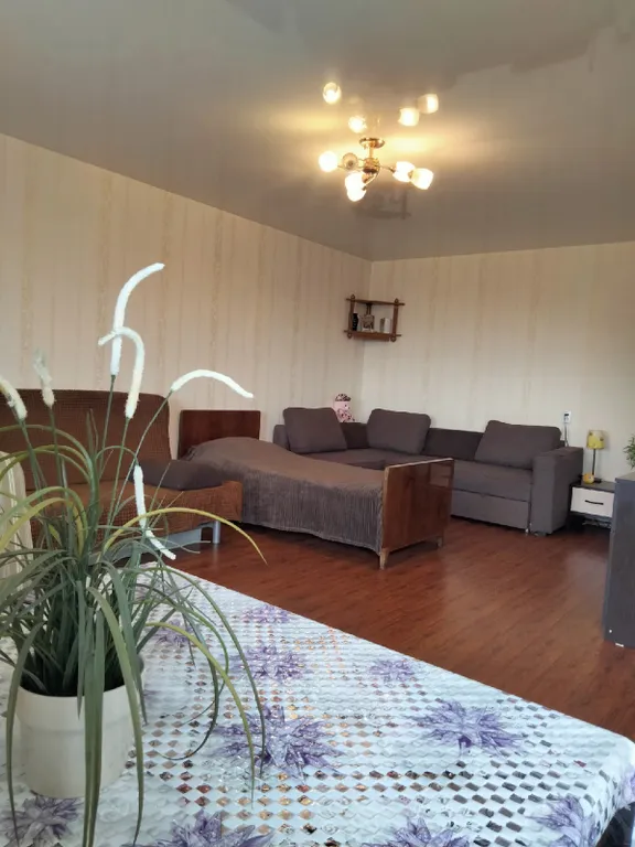 Уютная квартира-студия в центре города