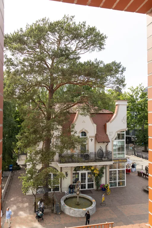 Уютные апартаменты в центре Светлогорска