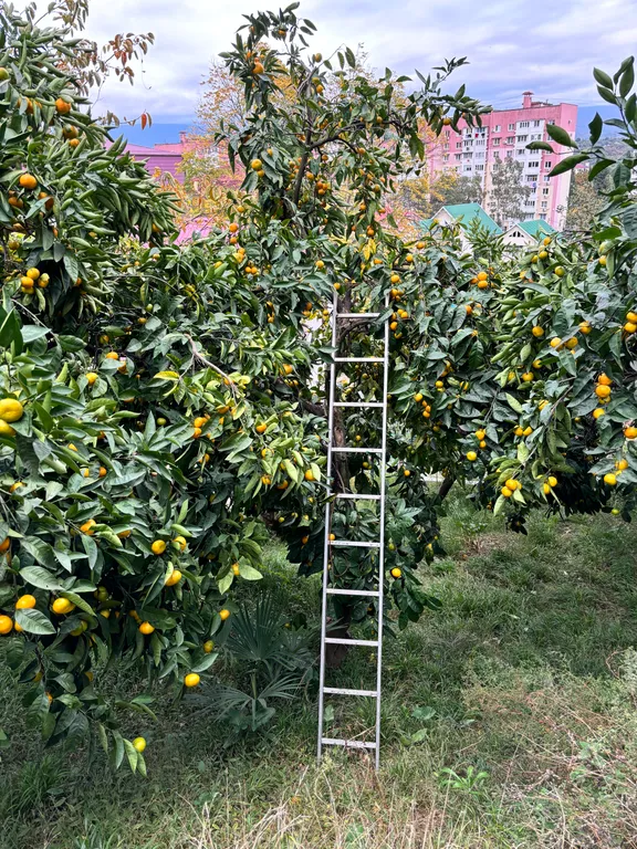 Коттедж Дом с видом на горы Sunny Day — Сочи