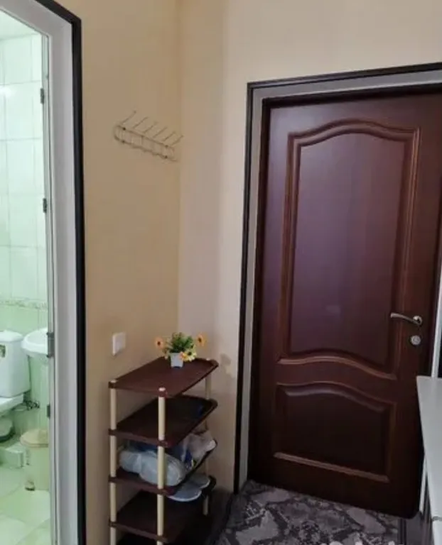 Квартира 1-комнатная Квартира — Сириус