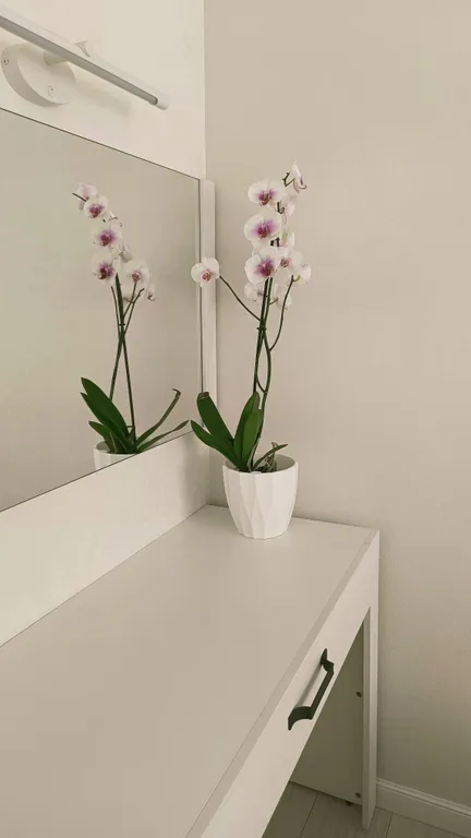 Уютная квартира в центральном районе города