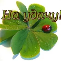 Майя Шадрина