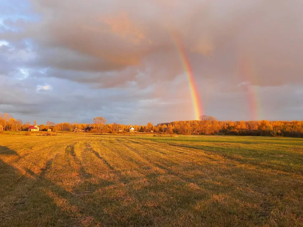 Дом в деревне