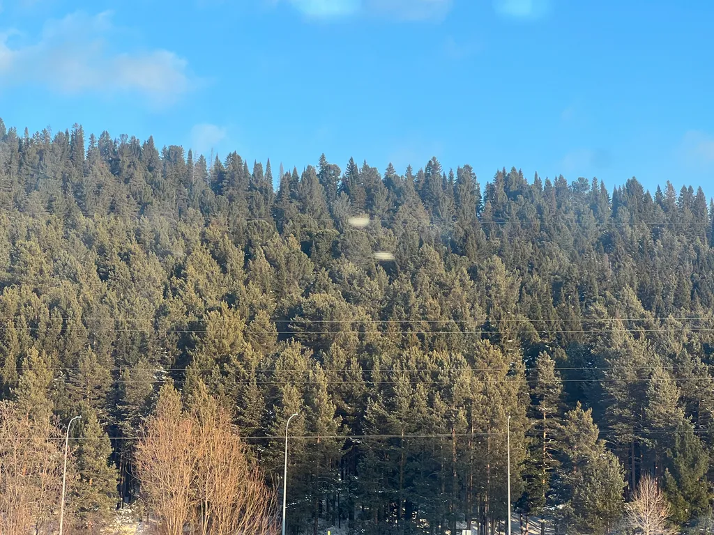 Уютная студия вблизи Хвойного Урмана и Археопарка