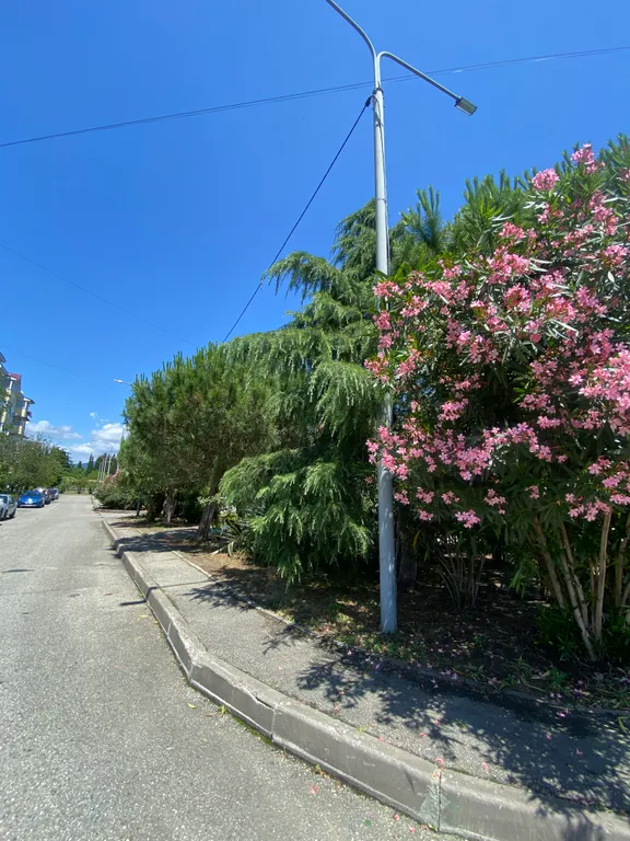 Квартира Светлая, уютная, солнечная однокомнатная квартира — Сириус