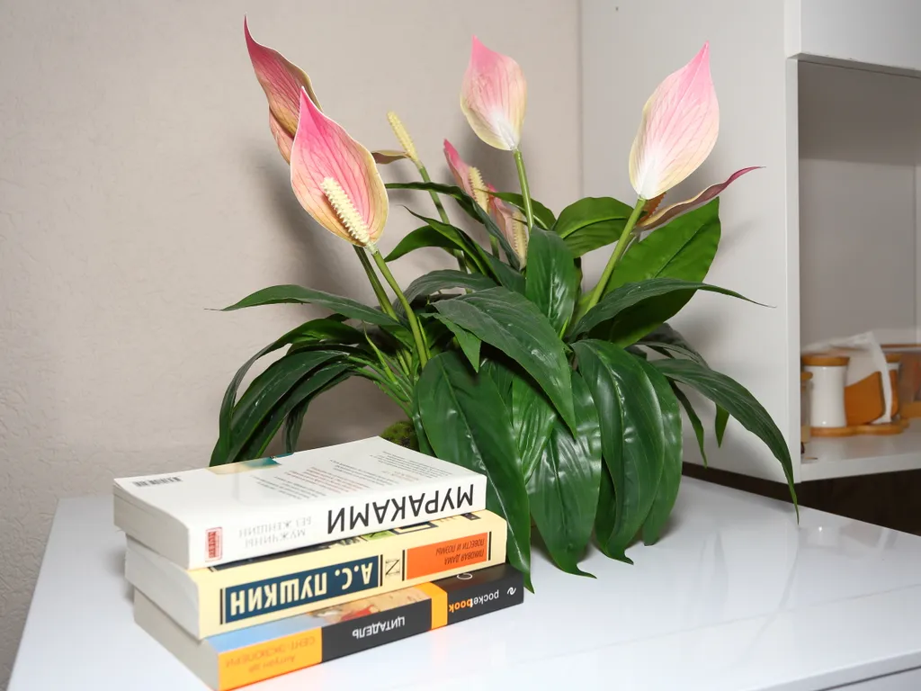 Уютная студия с раздельными спальными местами