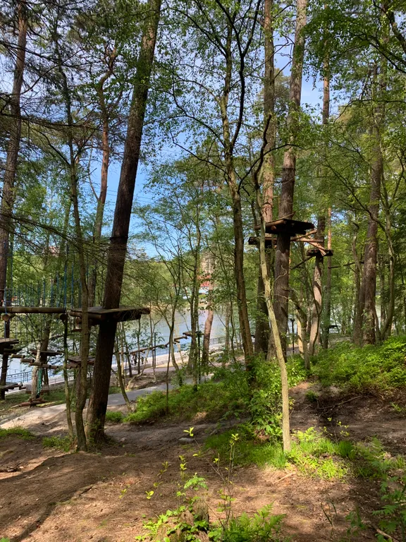 Апартаменты у озера тихое, с видом на лес