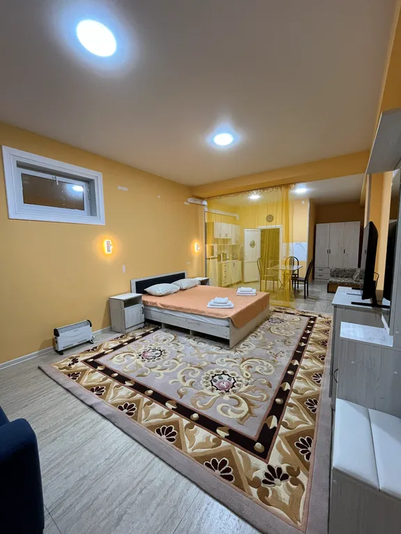 Квартира 1-комнатная Квартира — Сириус