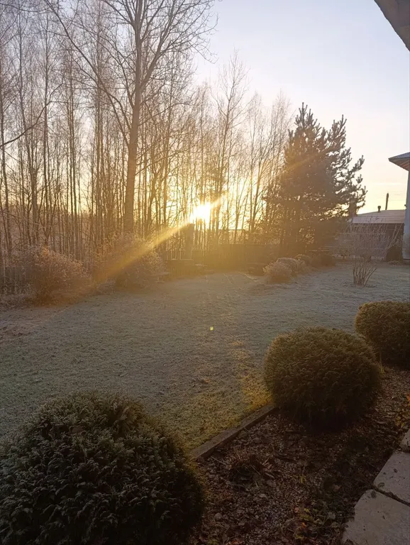 Дом с видом на лес