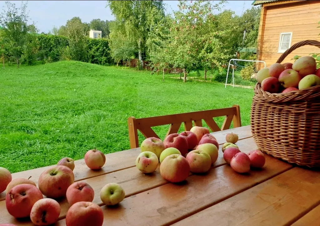 Дом дизайн 20соток баня экскурсии на ретроавто "Винтажные туры" центр