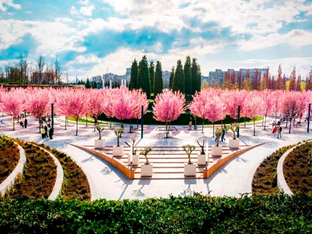 Квартира Апартаменты возле парка Краснодар — Краснодар