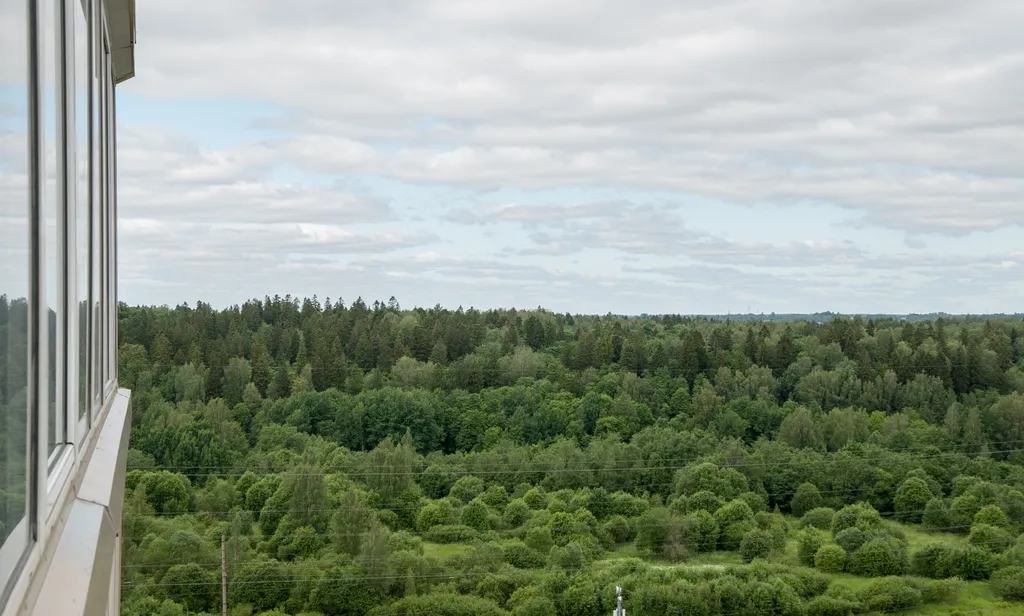 Уютная и светлая квартира рядом с парком