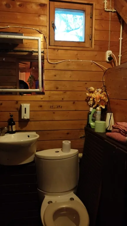 Коттедж Коттедж Зимняя дача в Переделкино с сауной и купелью — Москва