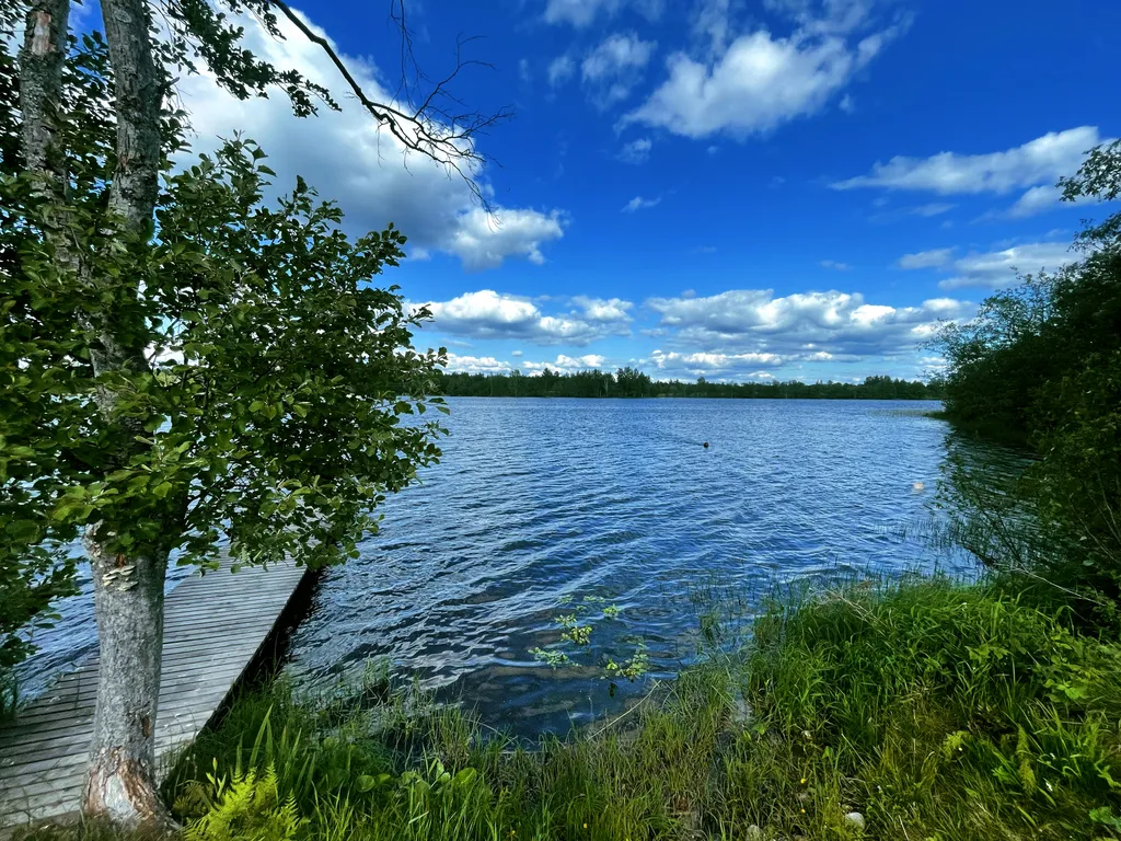 Дом и юрта на Валдае