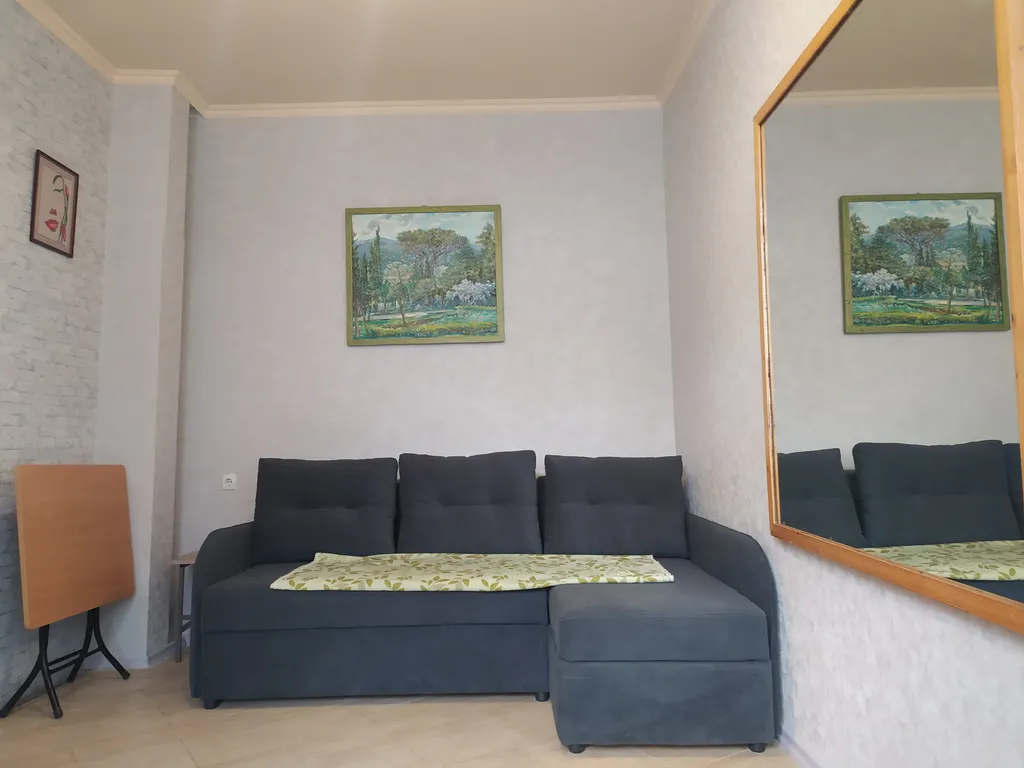 Уютная однокомнатная квартира