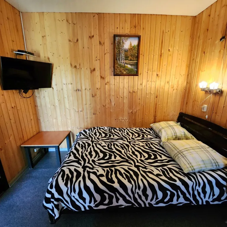 Студия с террасой