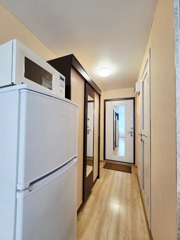 Квартира Квартира Уютная студия с видом на парк Лосиный остров — Москва