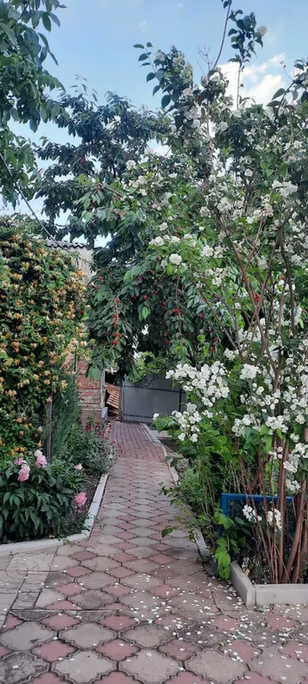 Дом для отдыха большой семьей