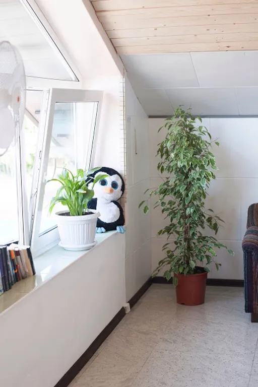 4-комнатный Дом