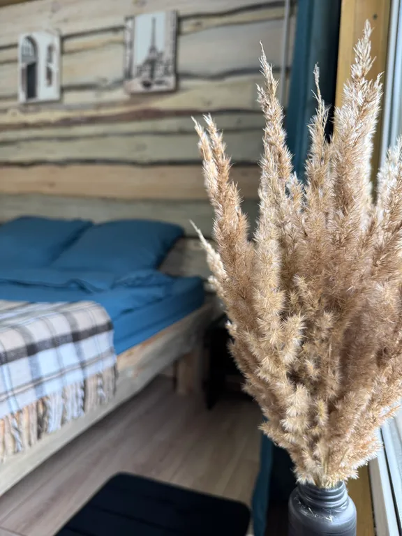 Дом с баней в лесу