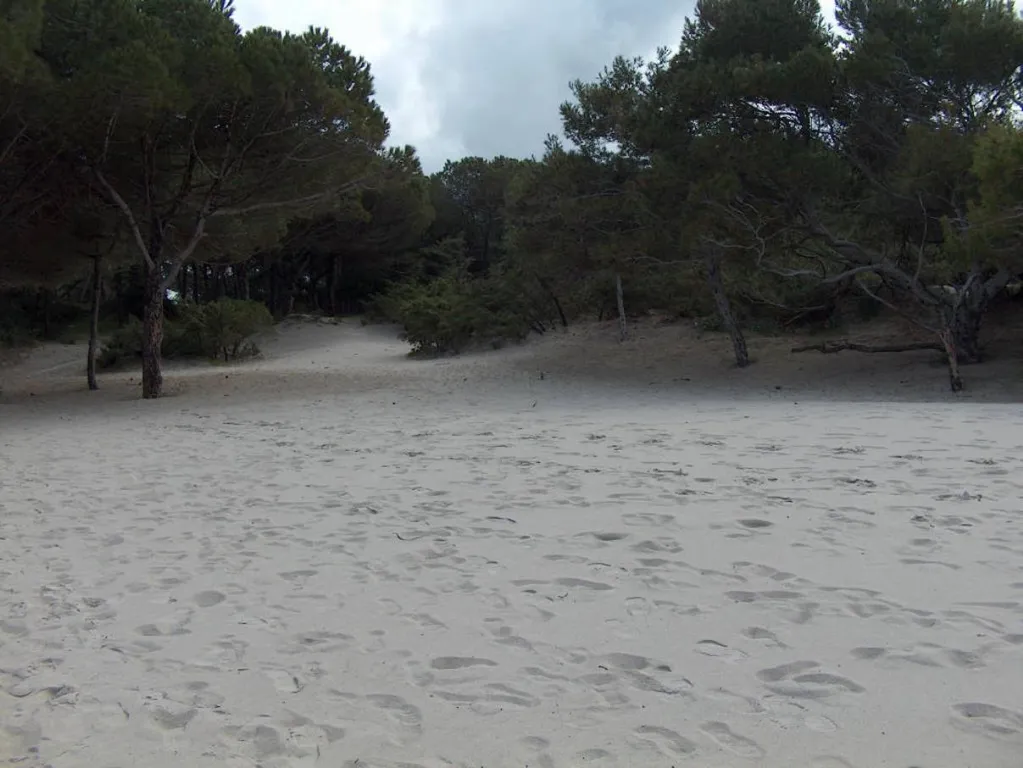 4-комнатная Квартира