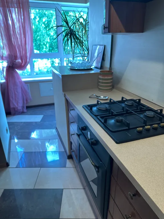 Уютная квартира в доме на берегу озера Разлив