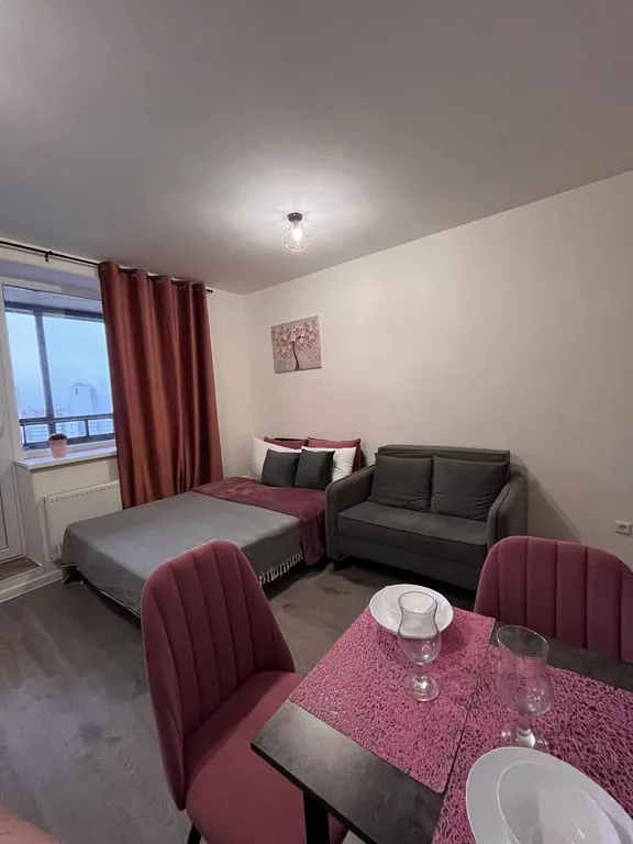 Видовая студия у метро в ЦДС Северный