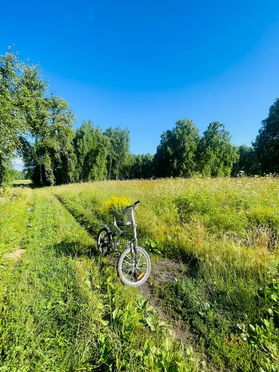 Глэмпинг Африка