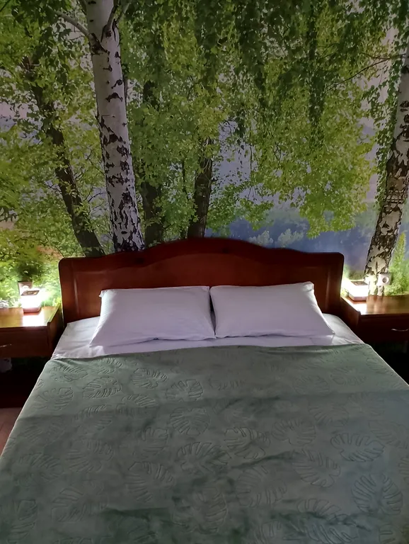 Уютный тихий дом у Коломенского Кремля