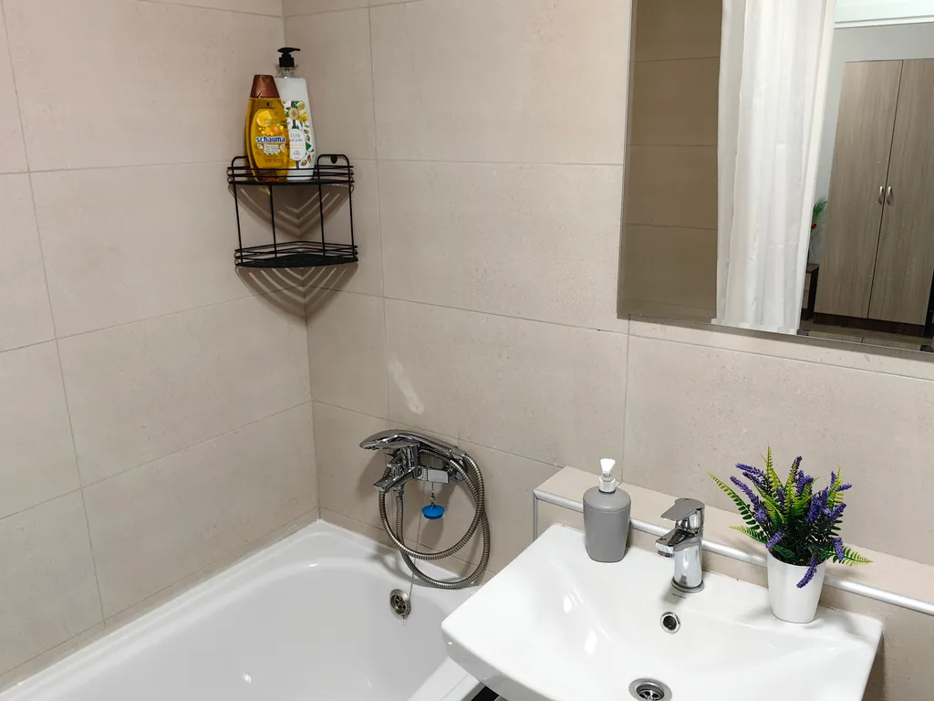 Однушка Цветная Гармония